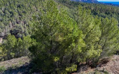 Building plot in an urbanisation in Altea la Vella.