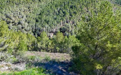 Building plot in an urbanisation in Altea la Vella.
