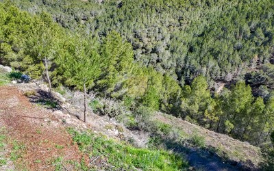 Building plot in an urbanisation in Altea la Vella.