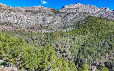 Building plot in an urbanisation in Altea la Vella.