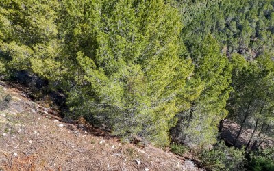 Urban plot with beautiful sea views.